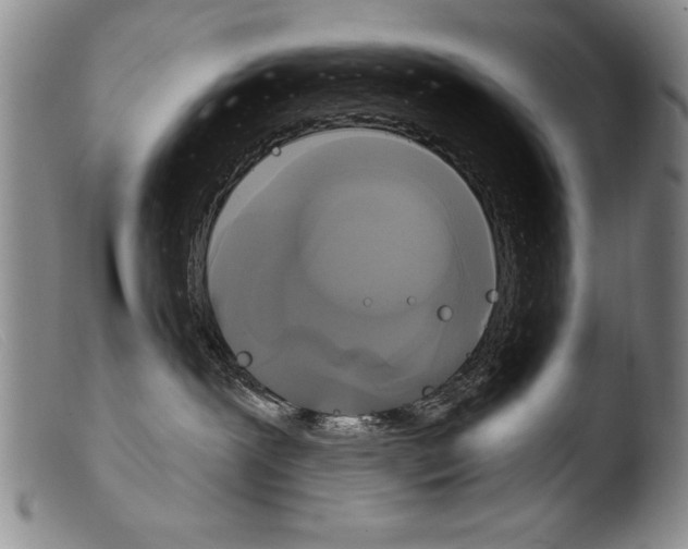 X0000103950239200810311557