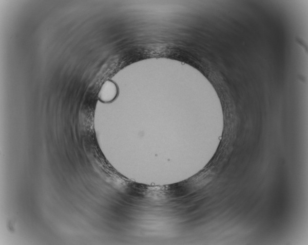 X0000103950240200810311557