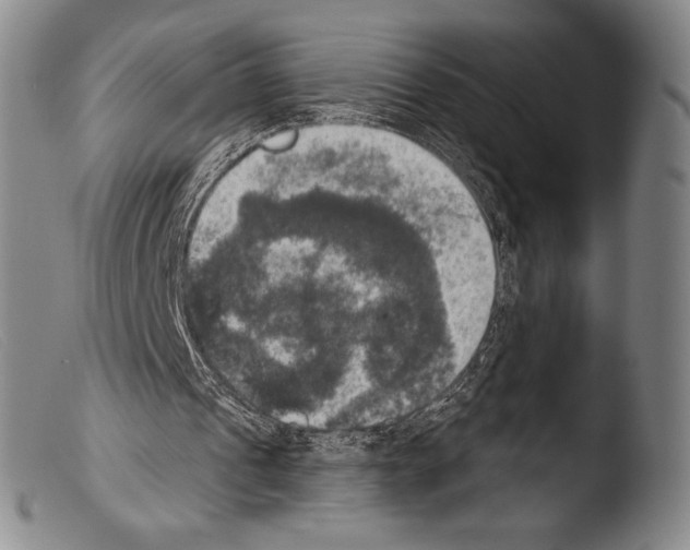 X0000103950241200810311556