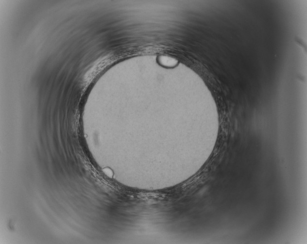 X0000103950242200810311556