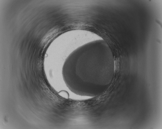 X0000103950243200810311556