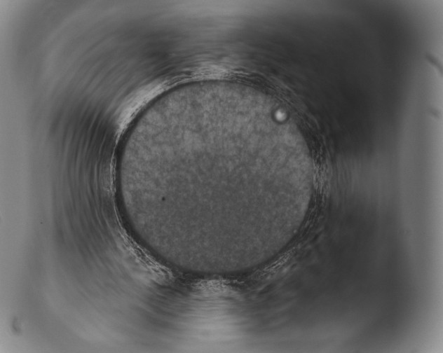 X0000103950244200810311556