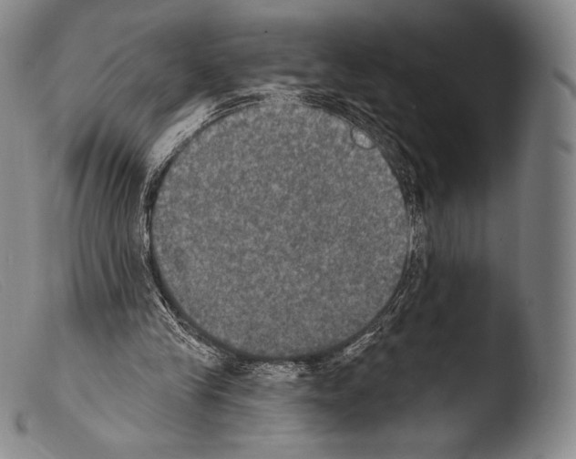 X0000103950245200810311556