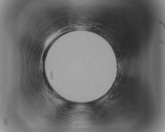 X0000103950246200810311556