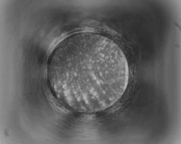 X0000103950247200810311556