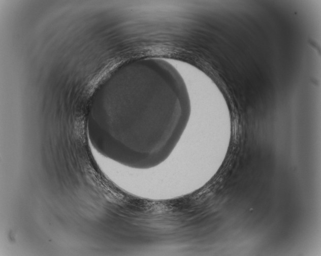 X0000103950249200810311556