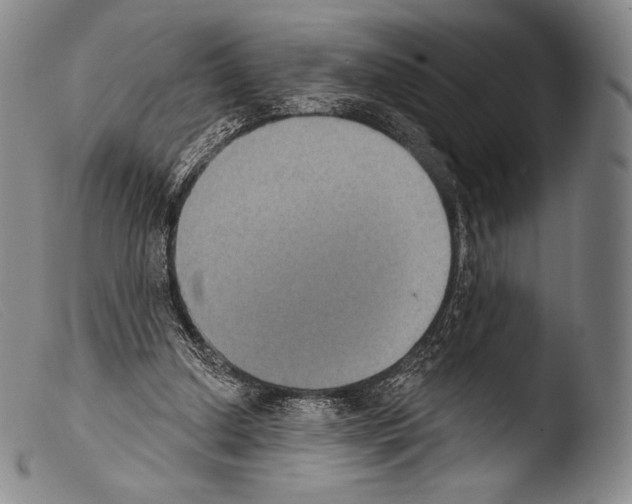 X0000103950250200810311556