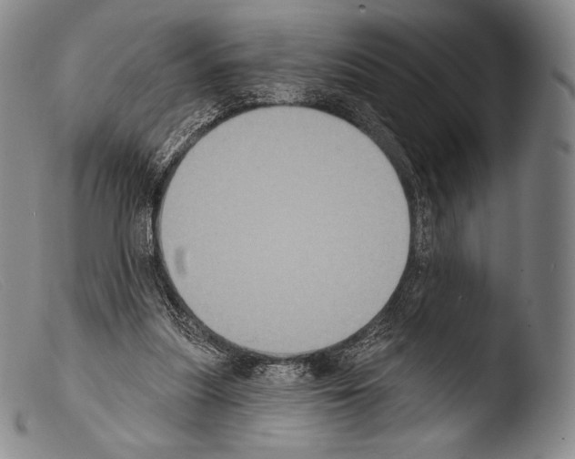 X0000103950251200810311556