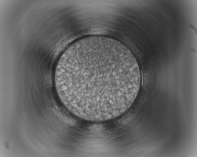 X0000103950252200810311556