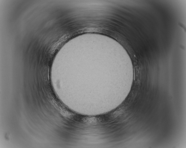 X0000103950253200810311556