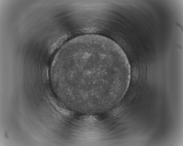 X0000103950254200810311556