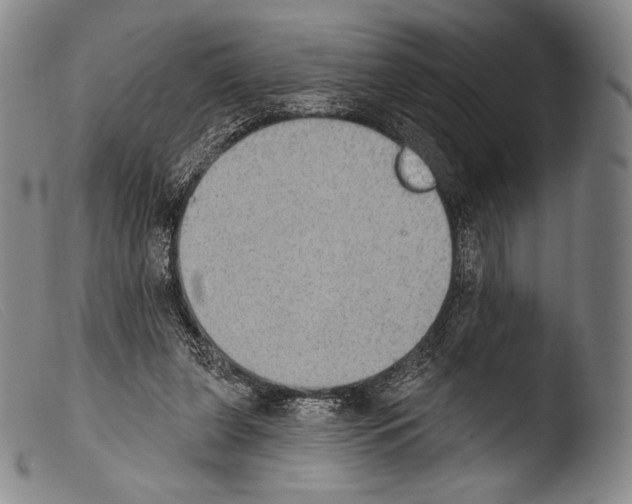X0000103950255200810311556