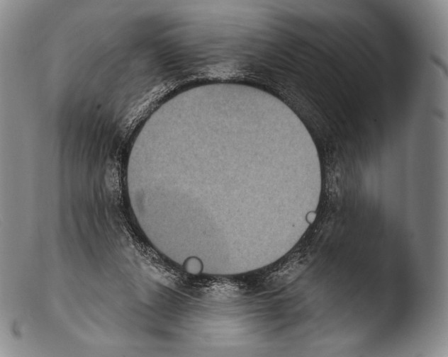 X0000103950256200810311556