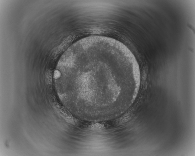 X0000103950257200810311556