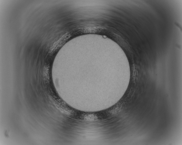 X0000103950258200810311556