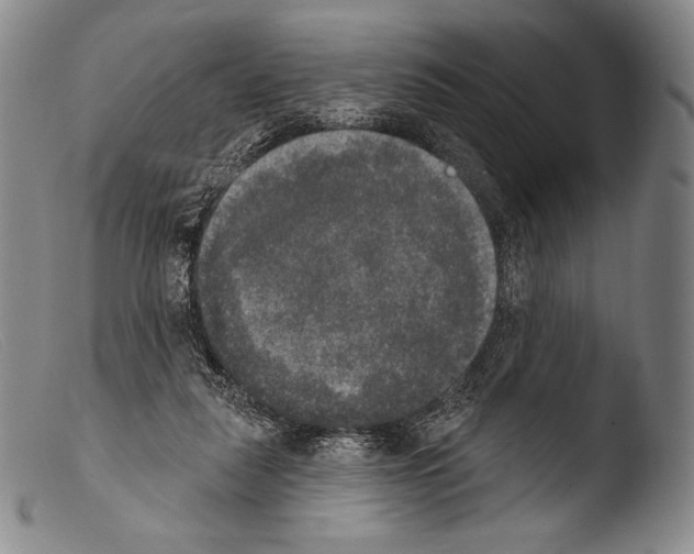 X0000103950259200810311556