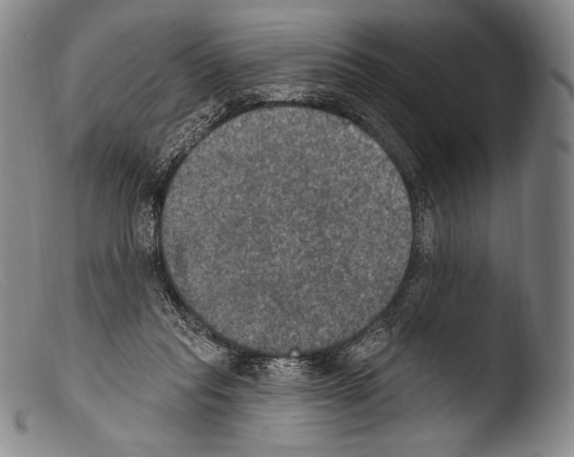 X0000103950261200810311556