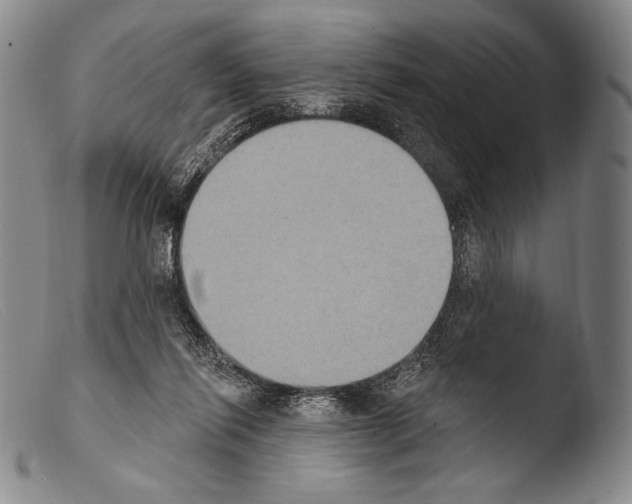 X0000103950262200810311556