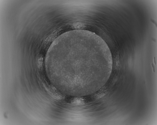 X0000103950263200810311556
