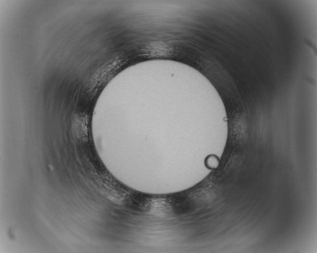X0000103950264200810311556