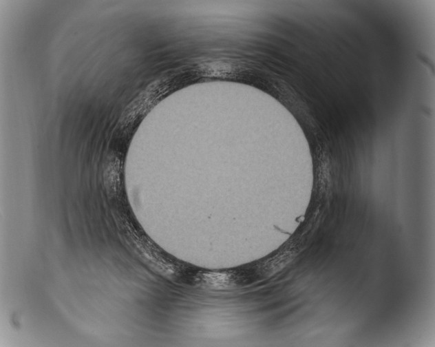 X0000103950265200810311556