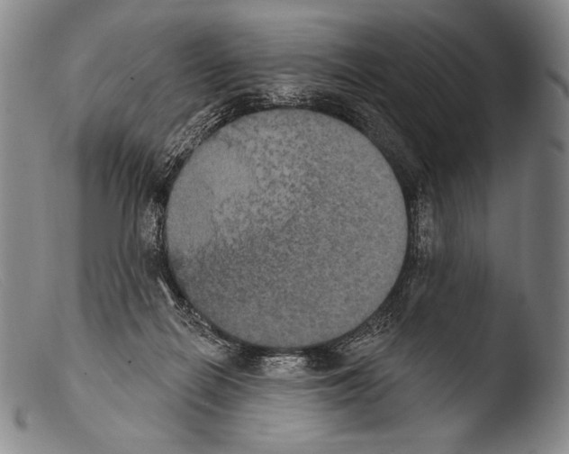X0000103950266200810311556