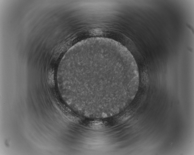 X0000103950267200810311556