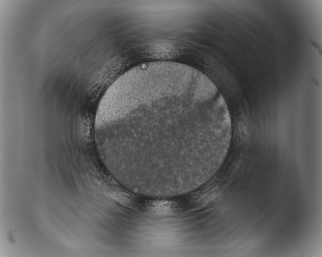 X0000103950268200810311556
