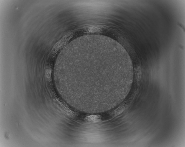 X0000103950269200810311556