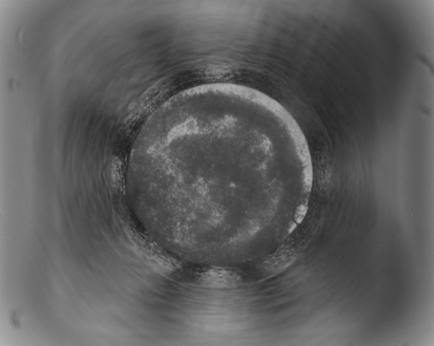 X0000103950270200810311556