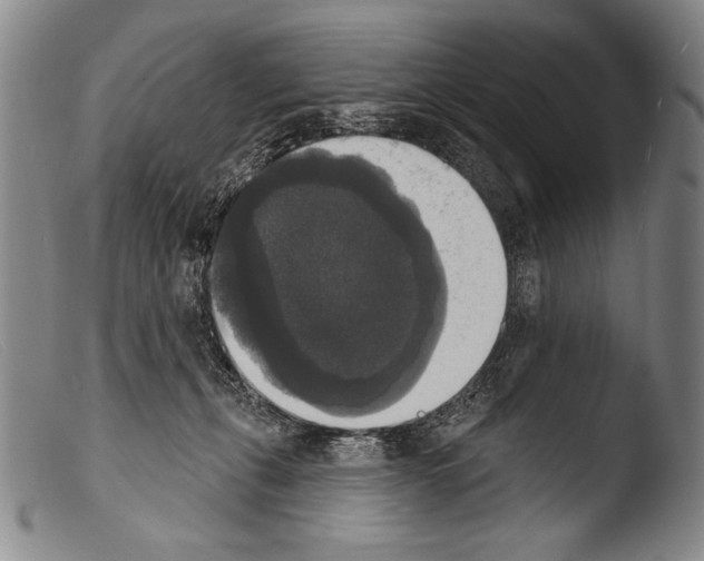 X0000103950271200810311556