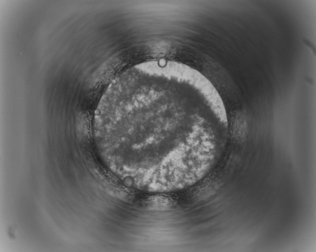 X0000103950272200810311556