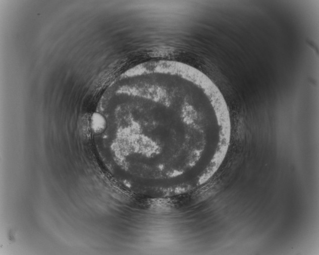 X0000103950273200810311557