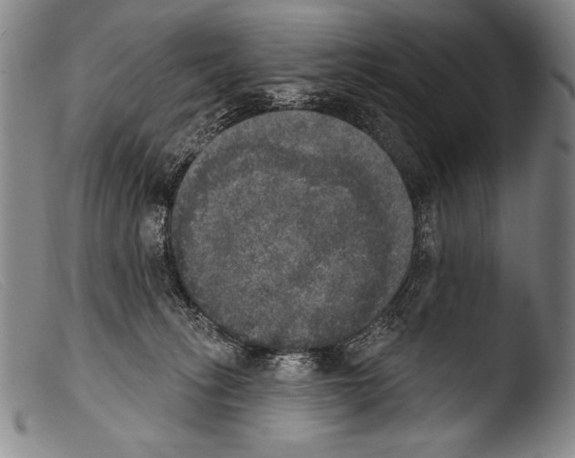 X0000103950275200810311557