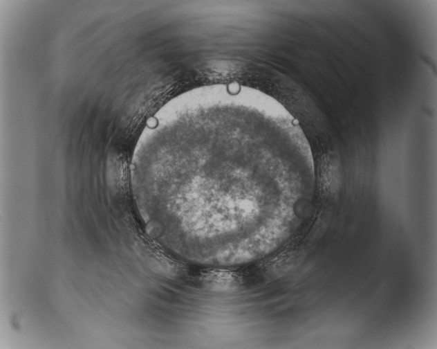 X0000103950276200810311557