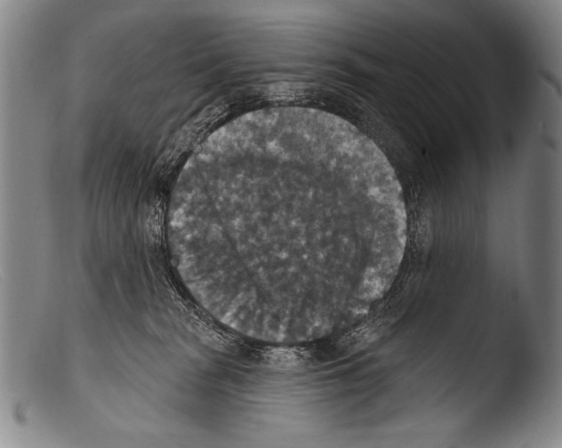 X0000103950277200810311557