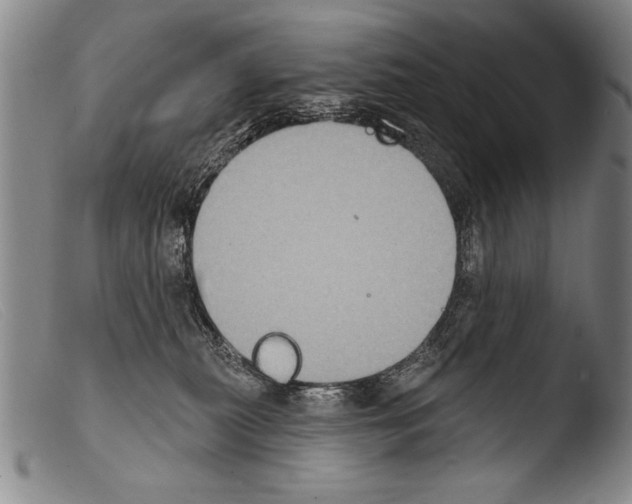 X0000103950279200810311557