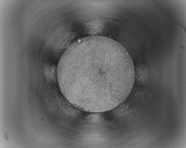 X0000103950280200810311557