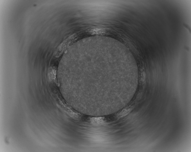X0000103950281200810311557