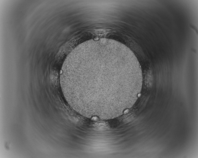 X0000103950283200810311557