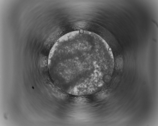 X0000103950284200810311557