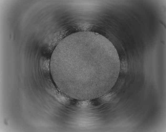 X0000103950286200810311557