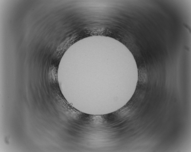 X0000103950287200810311557