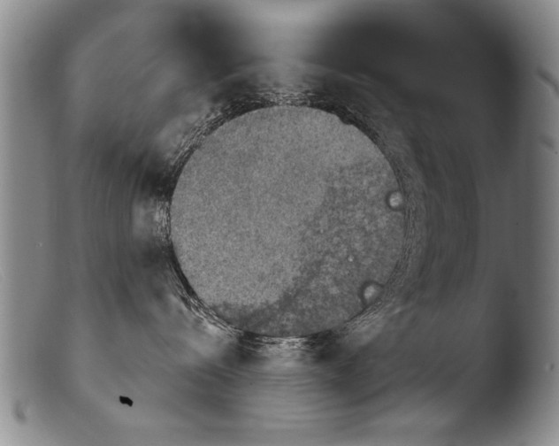 X0000103950288200810311557