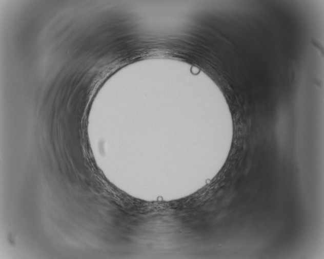 X0000103950289200810311556