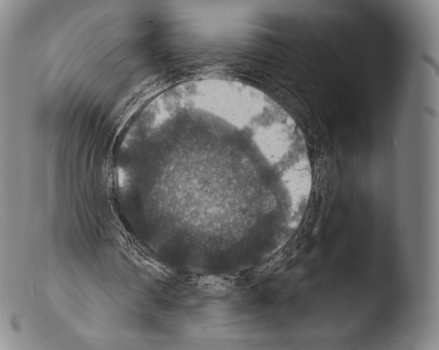 X0000103950290200810311556