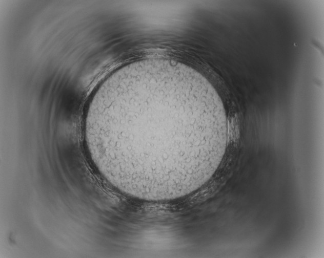 X0000103950291200810311556