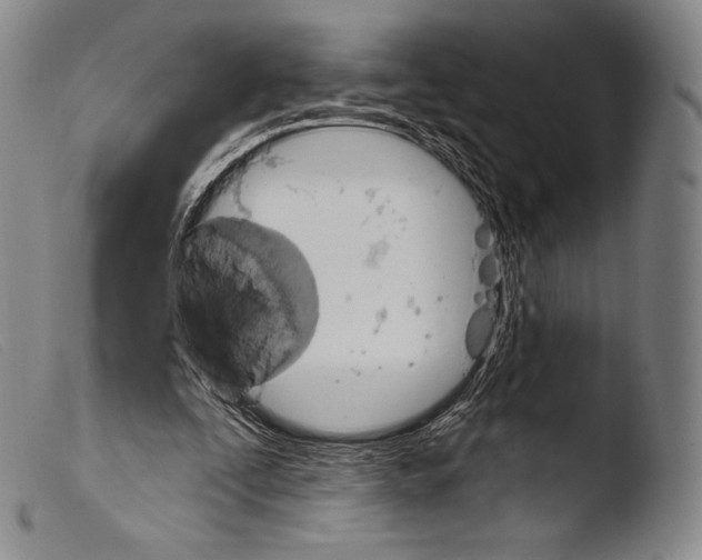 X0000103950295200810311556