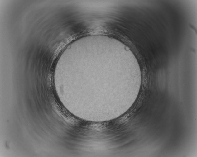 X0000103950298200810311556