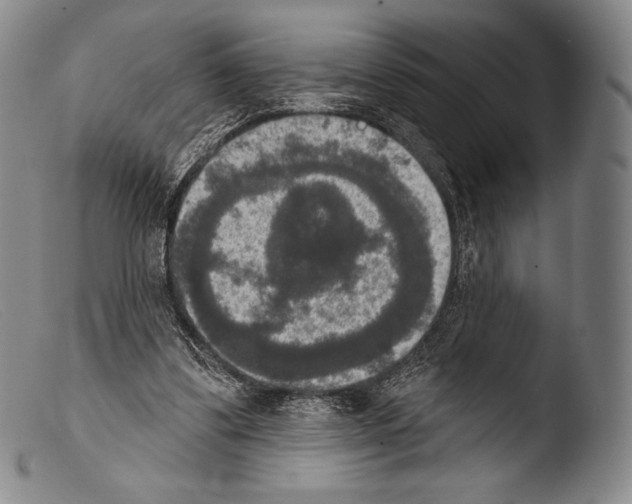 X0000103950299200810311556